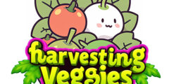 Harvesting Veggies