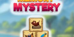 Memory Mystery