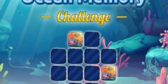 Ocean Memory Challenge